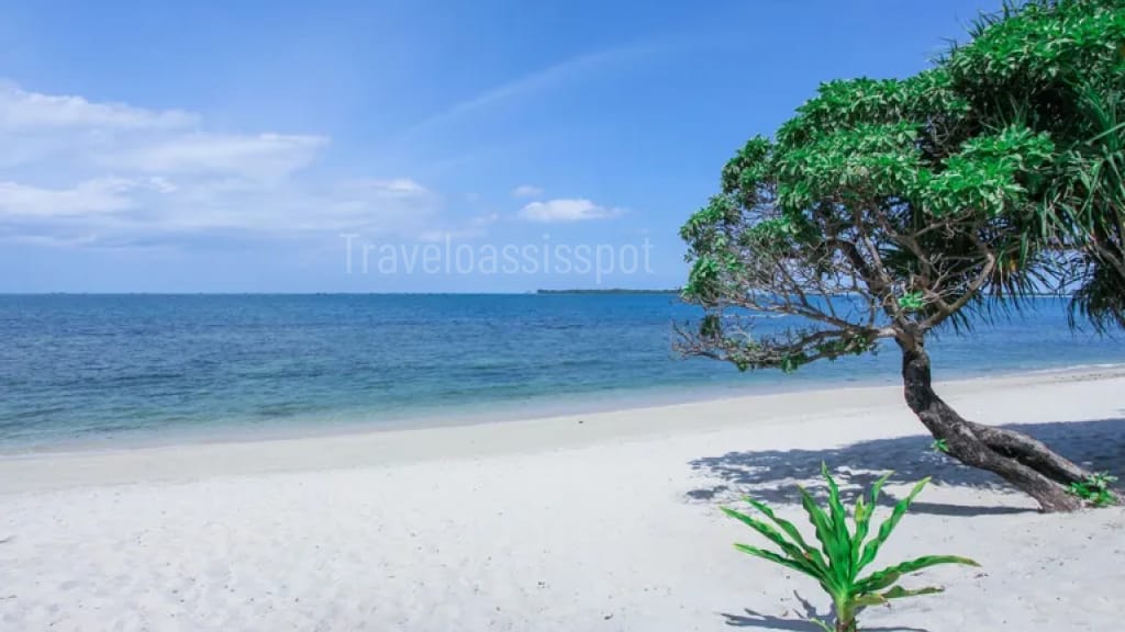 Trikora Beach, All You Need to Know Before You Go