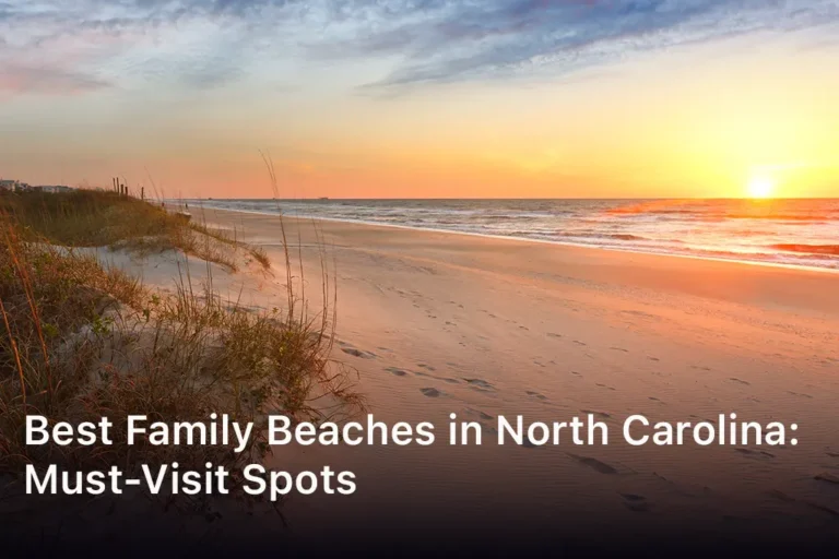 Best Family Beaches in North Carolina