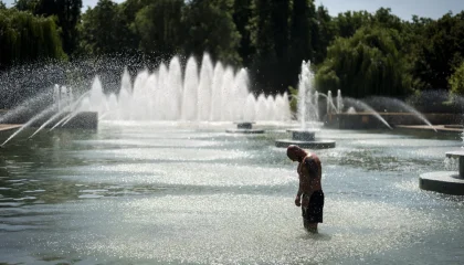 dd41f00d9c1b3cce98c404a6aa7c132dY29udGVudHNlYXJjaGFwaSwxNzgyNDI0MzI4-2.85066432