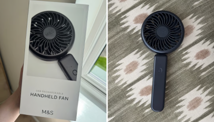 ms-fan