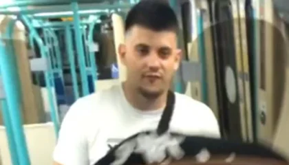 sexual-assault-dlr