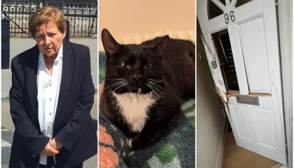 Dr-Katherine-Theodotou-RSPCA-cat