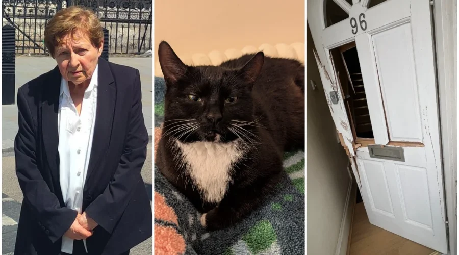 Dr-Katherine-Theodotou-RSPCA-cat